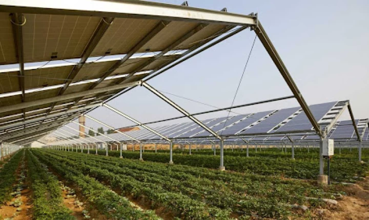 Δικαστήριο παγώνει φωτοβολταϊκό 3,7 MW στη Λευκωσία — Βλέπει κίνδυνο ανεπανόρθωτης περιβαλλοντικής ζημιάς